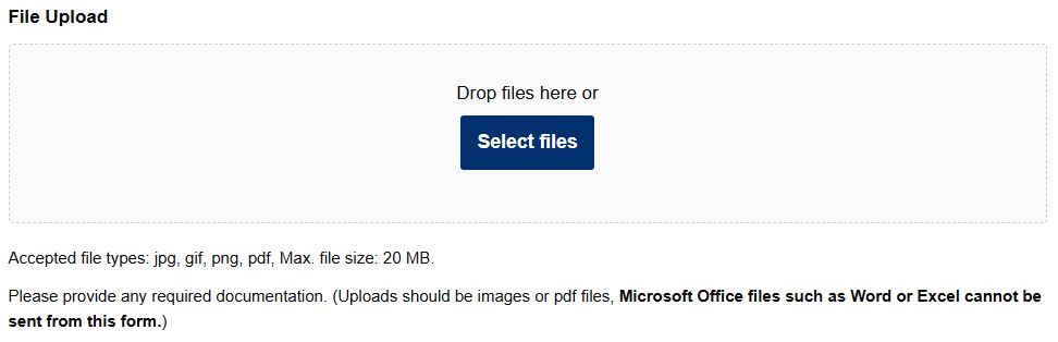 A screenshot of the upload documents field. It shows accepted formats and max size of 20 megabytes. 